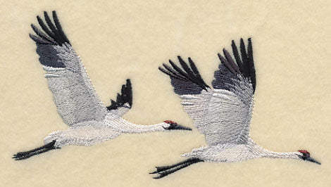 Whooping Cranes in Flight