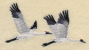 Whooping Cranes in Flight