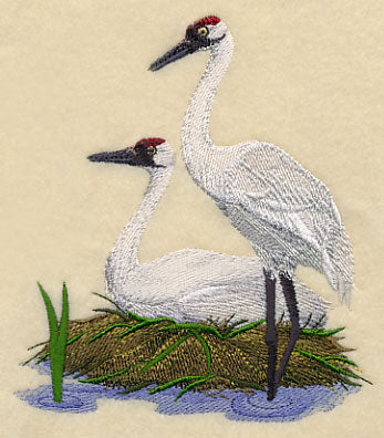 Whooping Cranes on Shore