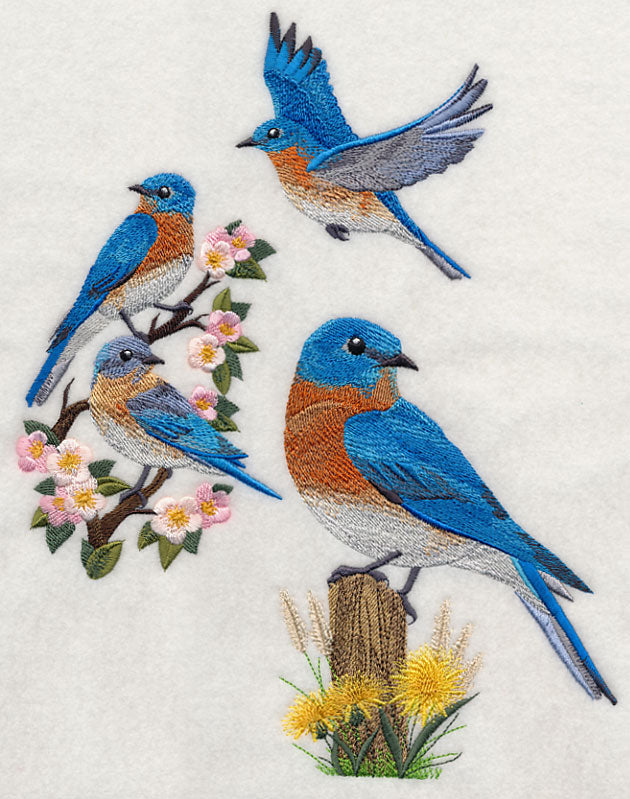 Eastern Bluebird Collage