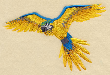 Blue-and-yellow Macaw in Flight