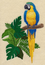Blue-and-yellow Macaw in the Tropics