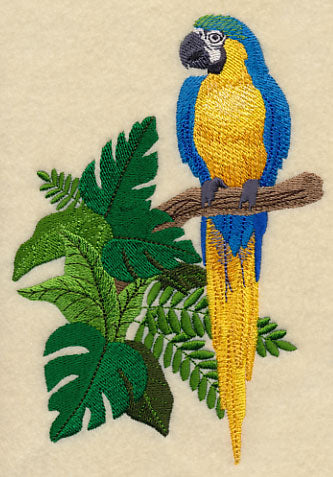 Blue-and-yellow Macaw in the Tropics