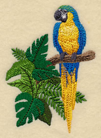 Blue-and-yellow Macaw in the Tropics