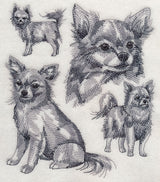 Long-haired Chihuahua Sketch