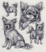 Long-haired Chihuahua Sketch