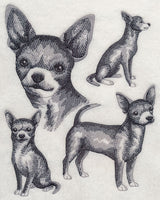 Short-haired Chihuahua Sketch