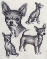 Short-haired Chihuahua Sketch
