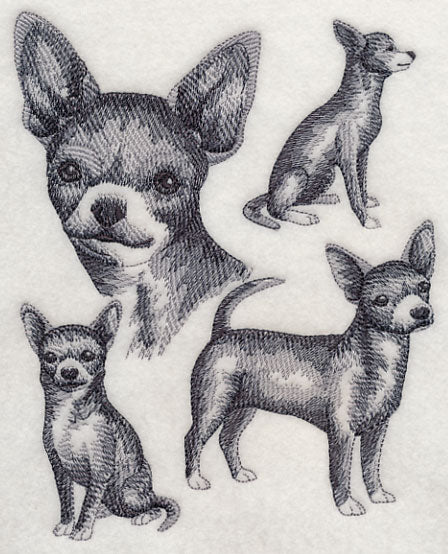 Short-haired Chihuahua Sketch