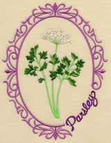 Herb Cameo - Parsley