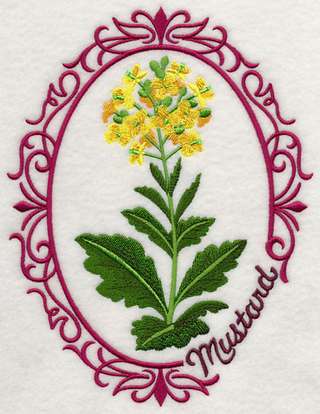 Herb Cameo - Mustard