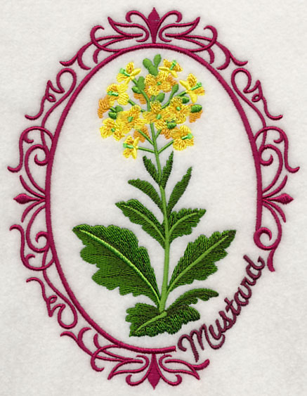 Herb Cameo - Mustard