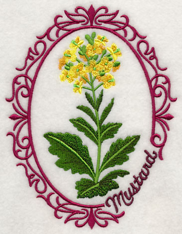 Herb Cameo - Mustard