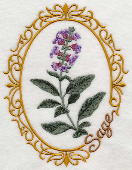 Herb Cameo - Sage