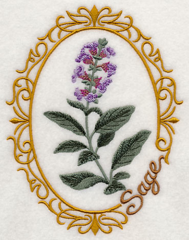 Herb Cameo - Sage