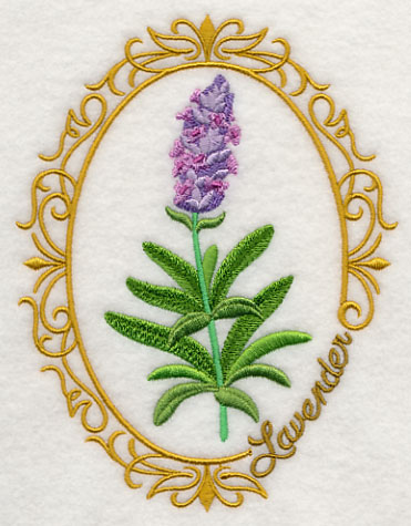 Herb Cameo - Lavender