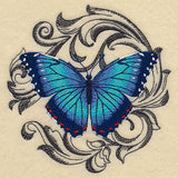 Blue Morpho with Baroque Background