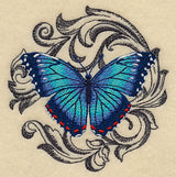 Blue Morpho with Baroque Background