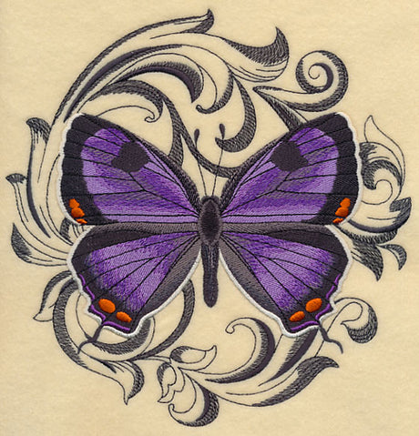 Colorado Hairstreak with Baroque Background