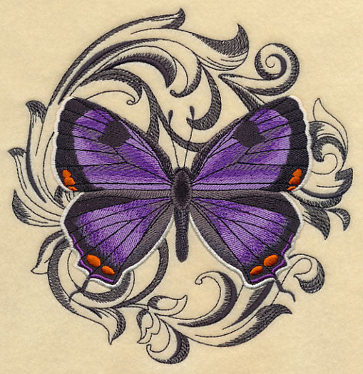 Colorado Hairstreak with Baroque Background