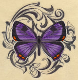 Colorado Hairstreak with Baroque Background