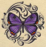 Colorado Hairstreak with Baroque Background