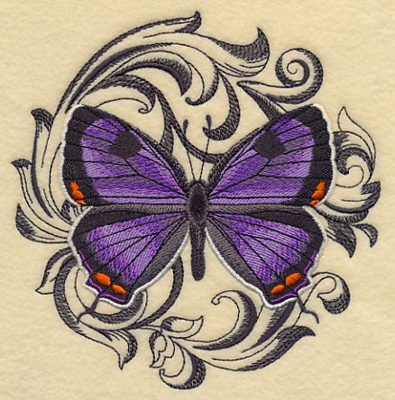 Colorado Hairstreak with Baroque Background