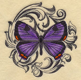 Colorado Hairstreak with Baroque Background