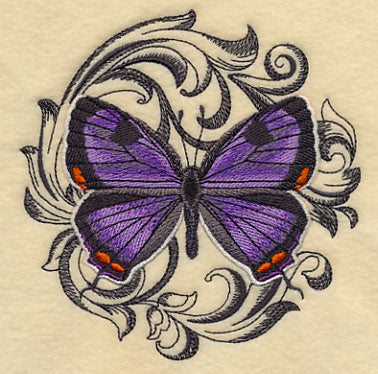 Colorado Hairstreak with Baroque Background