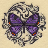 Colorado Hairstreak with Baroque Background