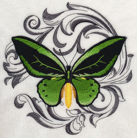 Common Green Birdwing with Baroque Background