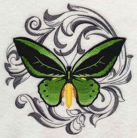 Common Green Birdwing with Baroque Background