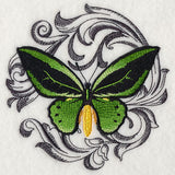 Common Green Birdwing with Baroque Background