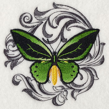 Common Green Birdwing with Baroque Background