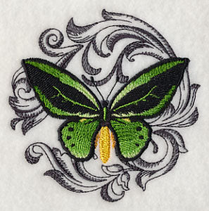 Common Green Birdwing with Baroque Background