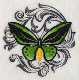 Common Green Birdwing with Baroque Background