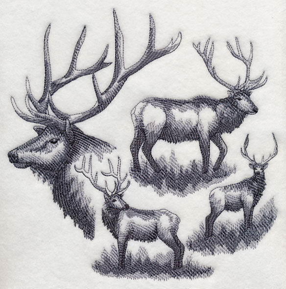 Elk Sketch