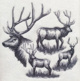 Elk Sketch
