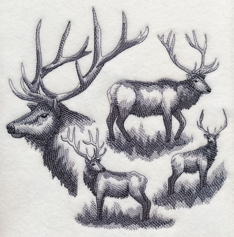 Elk Sketch