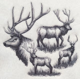 Elk Sketch
