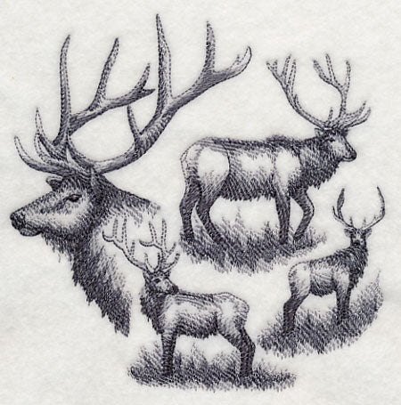 Elk Sketch