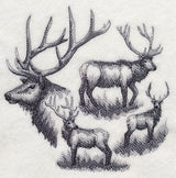 Elk Sketch