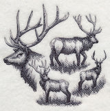 Elk Sketch