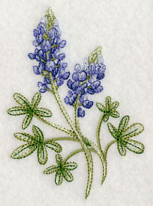 Breathtaking Bluebonnets 1