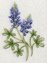 Breathtaking Bluebonnets 1