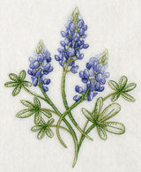 Breathtaking Bluebonnets 2