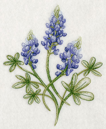 Breathtaking Bluebonnets 2