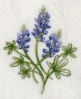 Breathtaking Bluebonnets 2