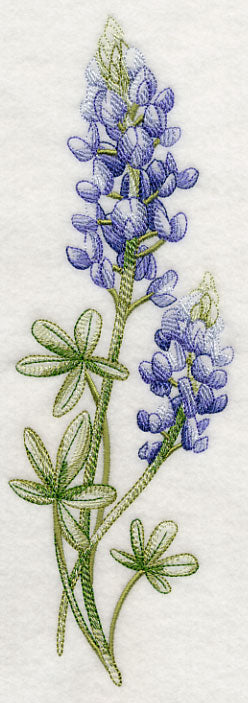 Breathtaking Bluebonnets Spray