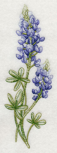 Breathtaking Bluebonnets Spray